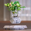 Elegant Levitating Planter for Home Décor TrendyZone