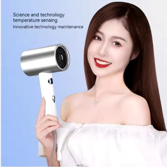 Ionic Hair Dryer Trendy Zone